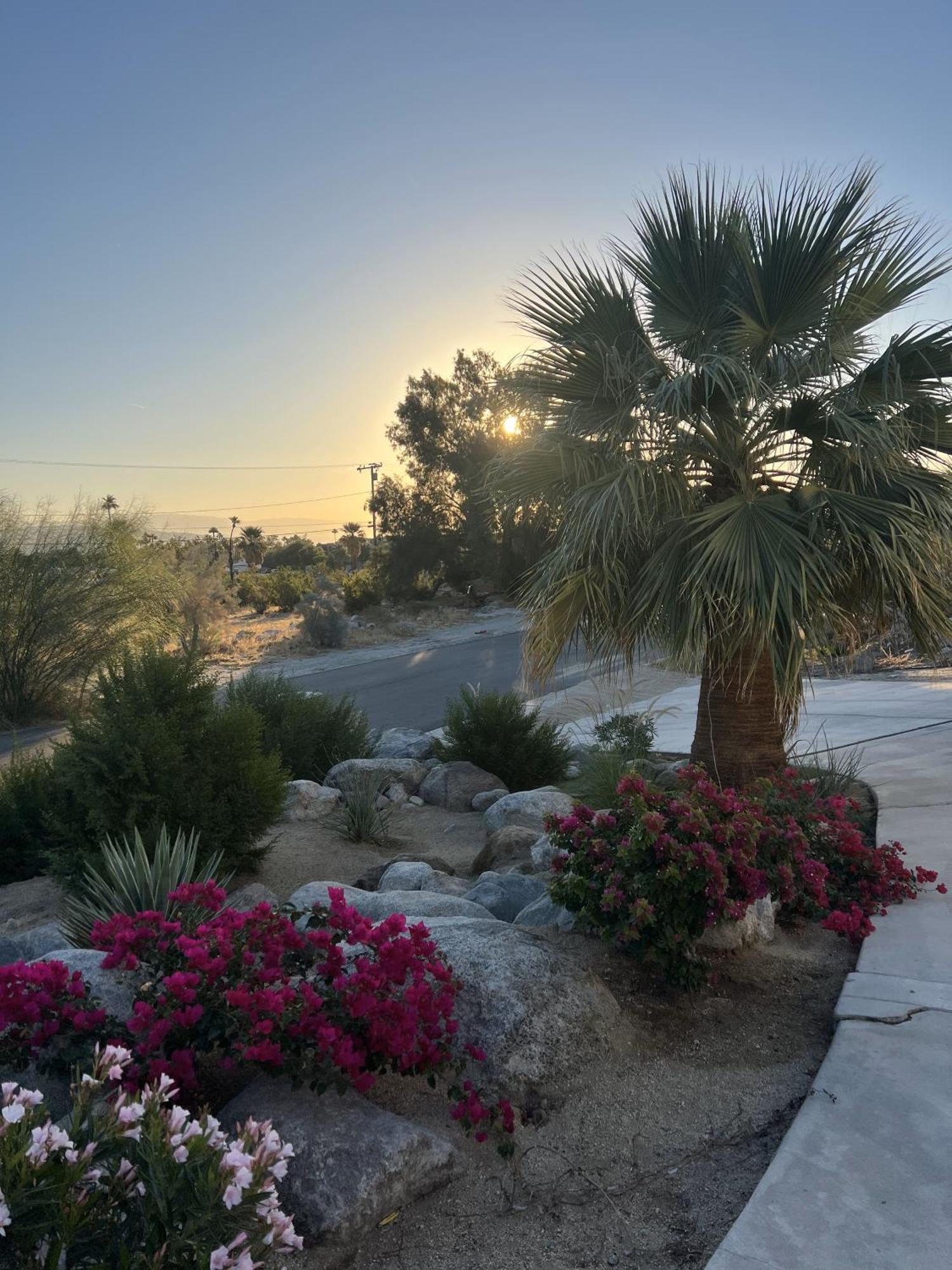 The Pink Paloma - A Barbie Inspired Villa In Palm Springs Eksteriør bilde
